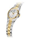 Festina Classics Relógio Mulher F20556/1