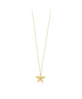 Radiant Starfish Joia Colar Mulher RY000140